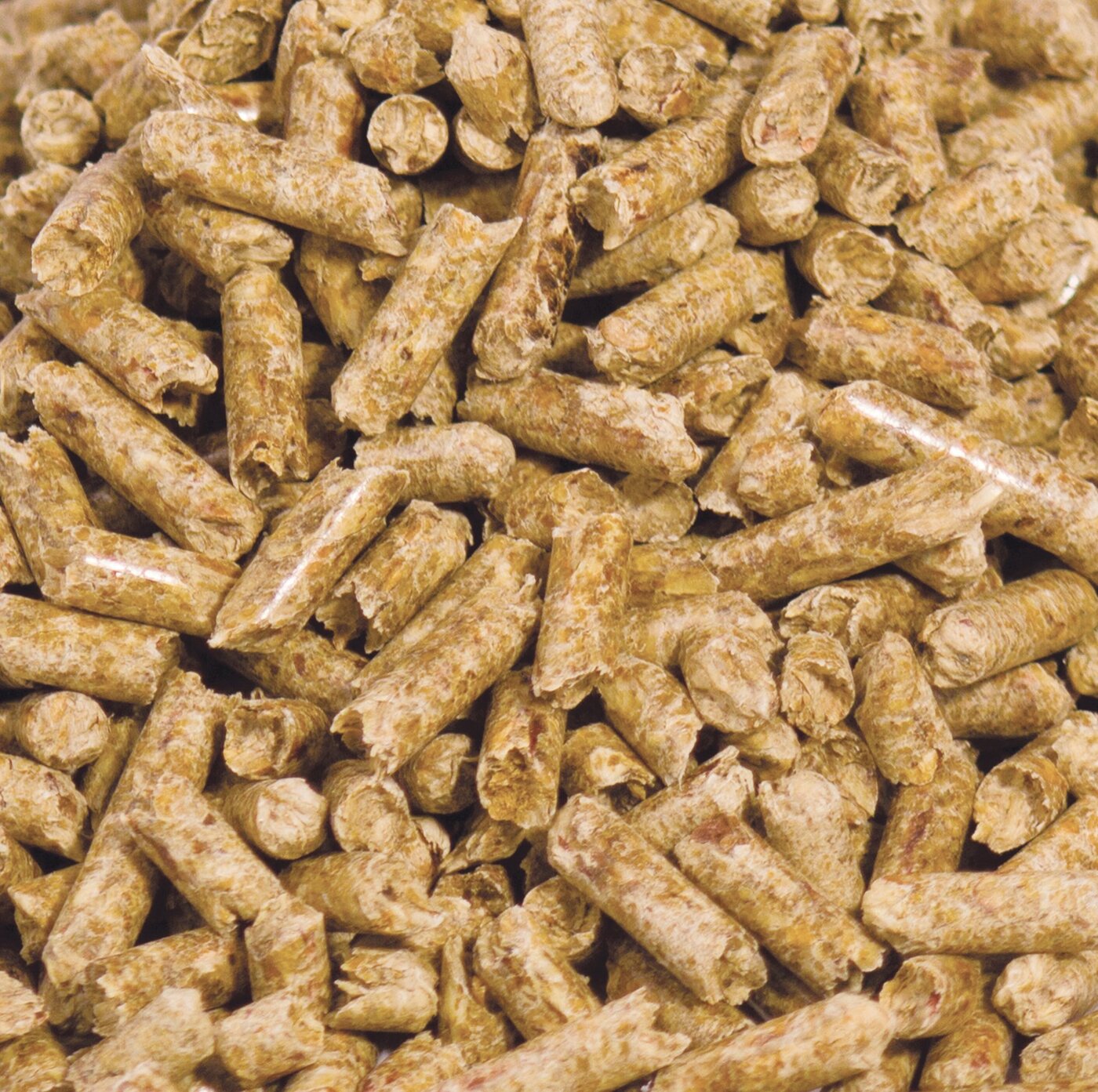 What is Wood Pellet?